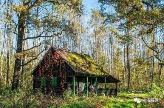 俄罗斯森林中有很多小<em>木屋</em>，<em>为什么不</em>能轻易进去？