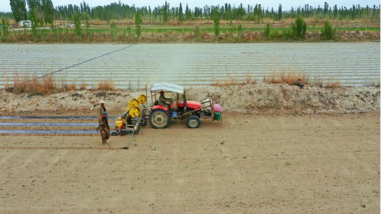 新疆巴州和硕县：现代农业机械助力打瓜播种