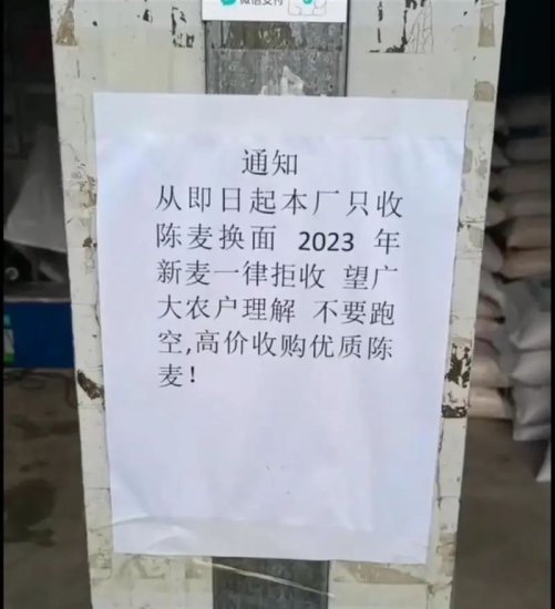 河南一家面粉厂拒收2023年新麦？官方回应了