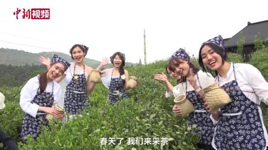 采春茶、说汉语、唱<em>中文</em>歌 30多位外国大学生分享留学好<em>故事</em>