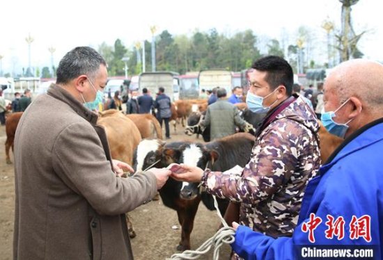 贵州最大<em>肉牛交易市场</em>第一季度交易额2.2亿元