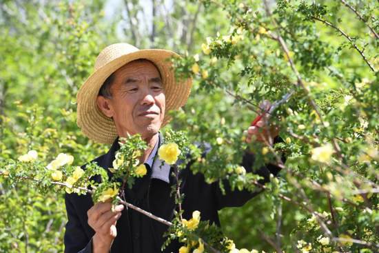 他是郭万刚，新中国第四位“林业英雄”