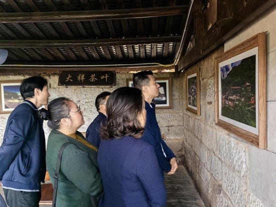 巴南区政协委员接龙地区小组赴石龙镇调研文化遗产保护