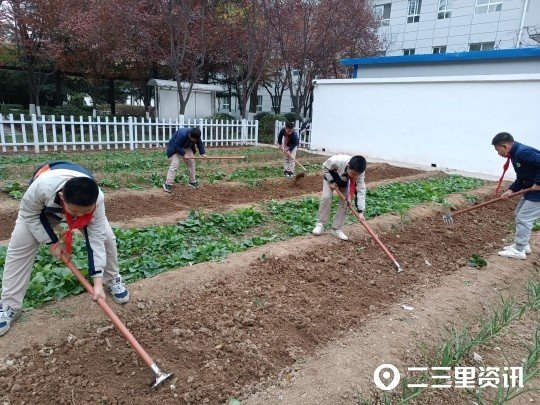 劳动课来了！学校<em>种植</em>园迎来丰收季，小学生忙着摘蔬菜
