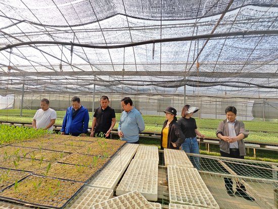 专家指导助推云南昌宁蔬菜产业升级发展