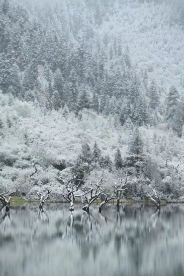 <em>四川</em>的第一场秋雪来了，快来围观雪景……