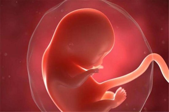<em>胎儿缺氧</em>常从孕28周开始，改掉三个坏习惯，才能给娃更安稳的...