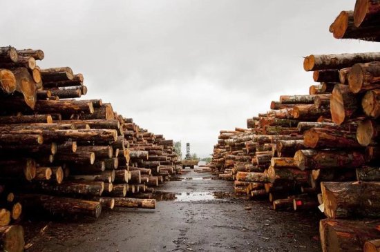全球主要<em>木材市场</em>2020年回顾