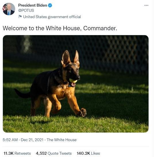 白宫迎来新的美国“第一狗” 拜登：名叫“指挥官”