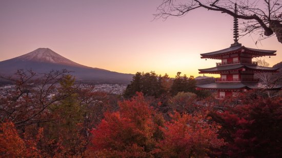 又到一年赏枫时！<em>富士山下</em>红叶正盛