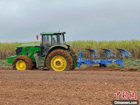 <em>广西大型</em>农场引入无人驾驶农机种植甘蔗降本增效