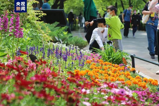 赏花、观展、科普……这个“五一”假期北京市属公园<em>等你</em>来打卡