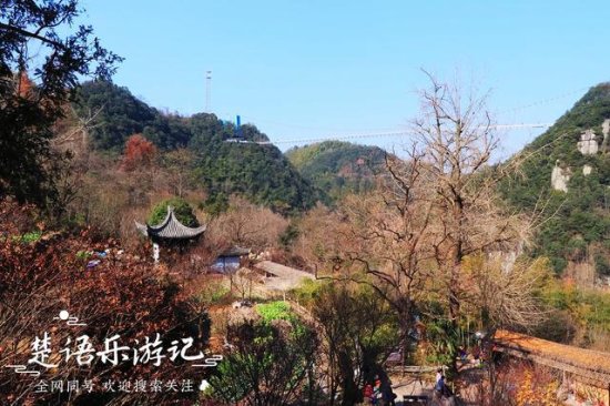 浙江四明山有一个饭店村，周边风景美不胜收，村中竟有50多家...