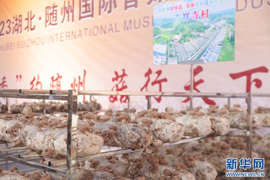 展出千余种食用菌 2023湖北·随州国际<em>香菇</em>产业博览会举行