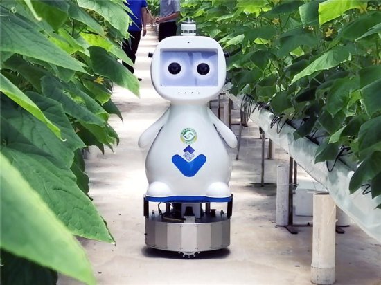 福建发布首款人工智能<em>农业</em>机器人
