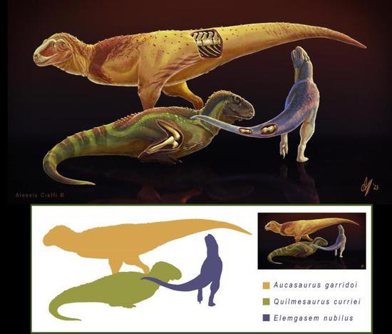 国际最新研究称，有证据表明南美兽脚类<em>恐龙</em>受骨病困扰