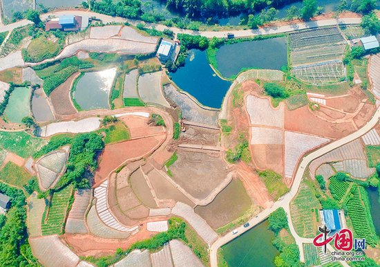 自贡市五宝镇高标准农田项目建设加速推进