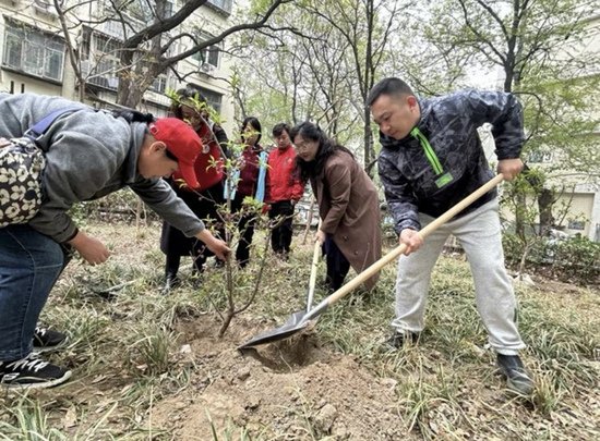 共建绿色家园 东城区龙潭街道开展春季义务植树活动