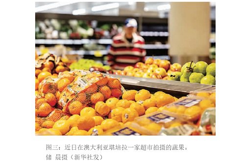 海外声音：中国需求推动澳农产品出口创纪录