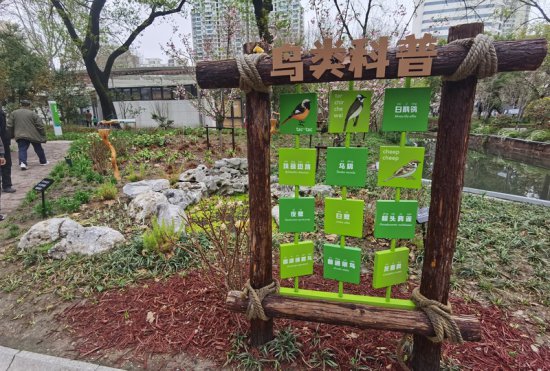和平公园里看黄鼠狼捉<em>老鼠</em>，上海打造“没有围墙”的环境教育...