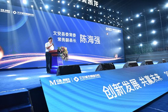 文安县举行“创新发展共赢未来”2023城市经济发展峰会