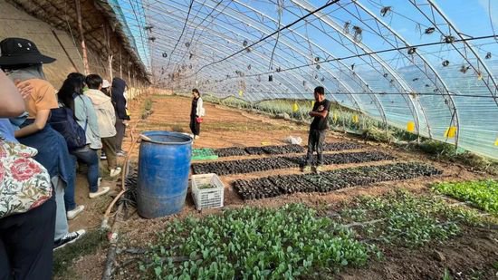 恋乡农场：生态农业的八年打怪升级之路
