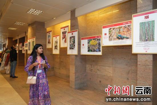 孟加拉国青年透过<em>图片</em>看中国年：“不一样的民俗 一样的和美”