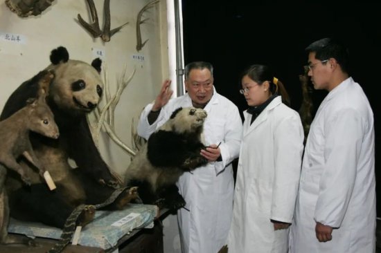 痛悼！保护国宝的国宝走了，“中国大熊猫之父”胡锦矗病逝