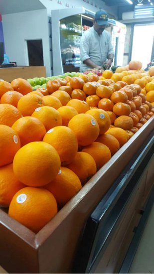 重庆三峡柑橘飘香海外进入中东市场