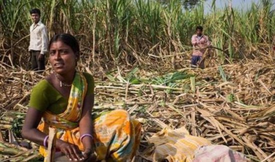 印度的“无子宫村”，三分之一女性被切除子宫，真实原因让人...