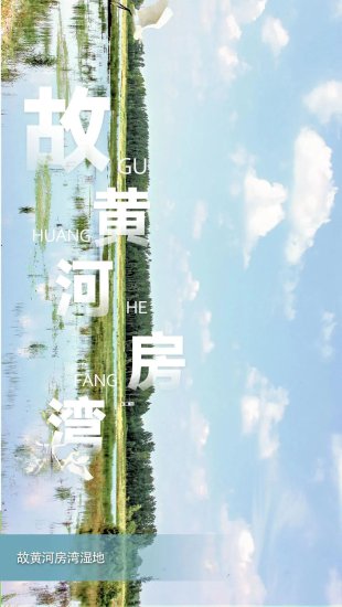 今年将立法保护！徐州自然湿地保护率达68.7%