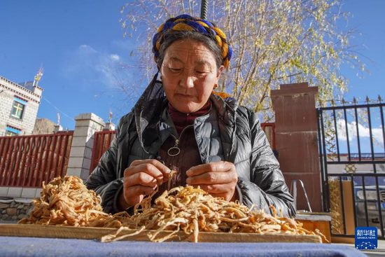 西藏尼木：藏纸技艺铺就美好生活