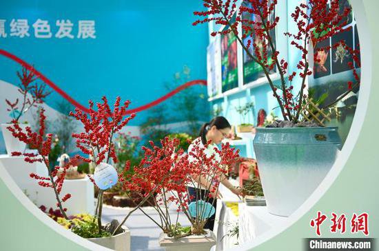 2023<em>中国</em>·合肥<em>苗木</em>花卉交易大会在安徽肥西开幕