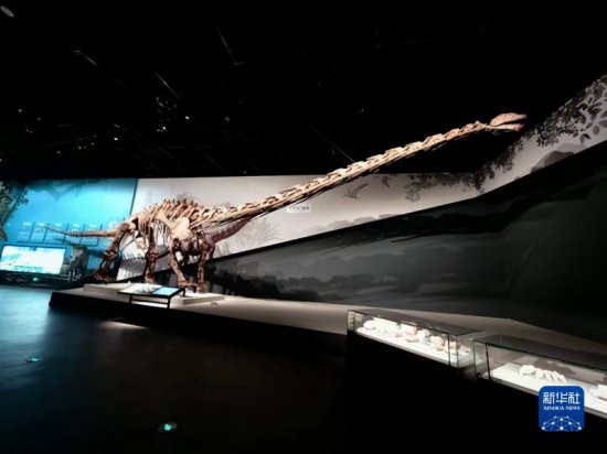 国社@四川｜成都自然博物馆开馆<em> 亚洲最大的</em>完整恐龙化石亮相