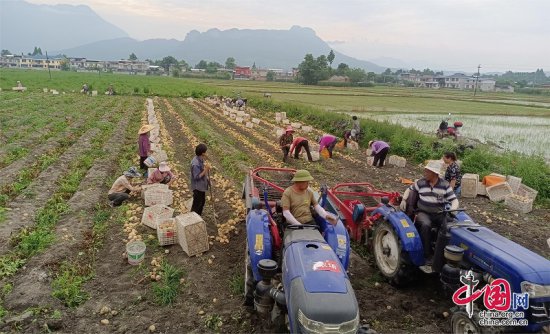四川江油：2000余个新型农业经营主体成为乡村振兴的新“引擎”
