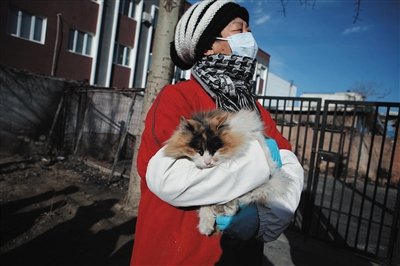 女子救助流浪猫坚持18年 全年无休每日按时喂食