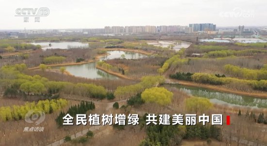 焦点访谈：全民植树增绿 共建美丽中国