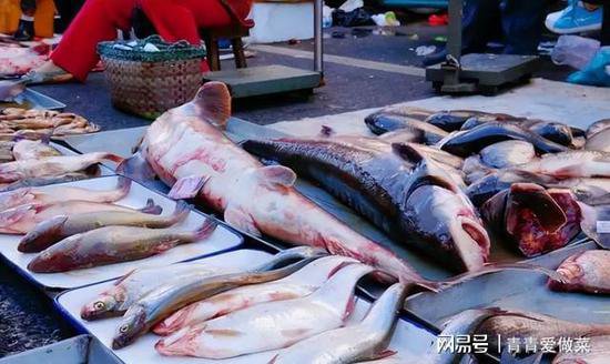 买鱼时，这4种是野生海鱼，好吃<em>营养</em>高，无法养殖，遇到后别手软