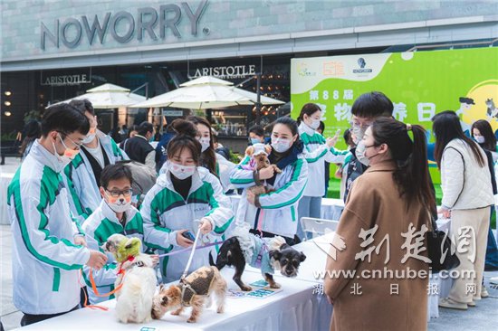 “以爱之名，宠物领养”主题公益活动在汉举行 促进市民了解动物...