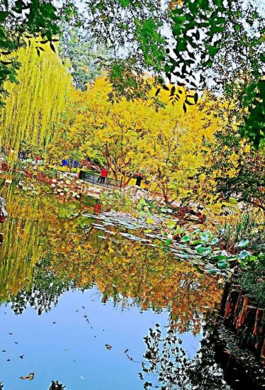 闹市中的江南园林！曾是“京城第一胜地”，免费开放，秋色无边