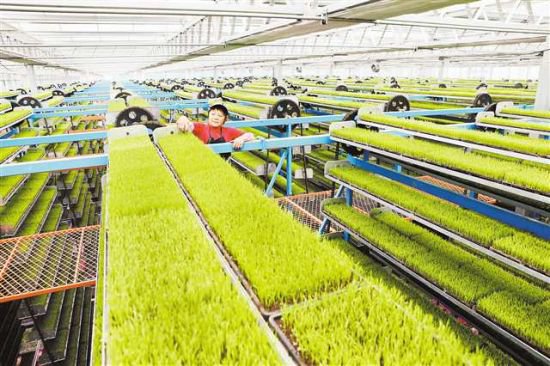 重庆农业科技进步贡献率何以连年增长