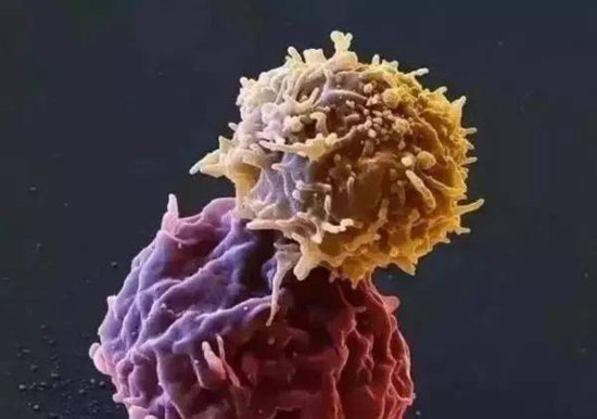 癌症<em>前兆</em>，脖子先知！若有2个异常，暗示癌细胞已生根