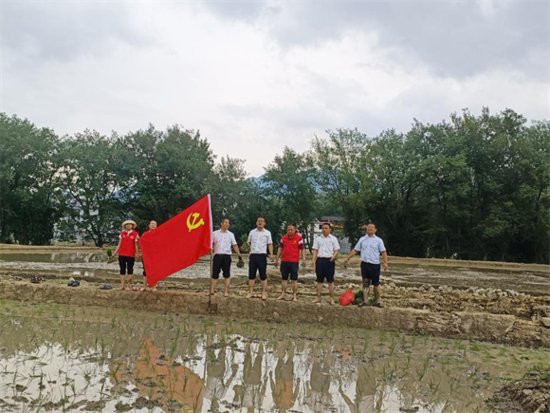 江西龙南：党员下沉田间地头，帮助农户种植早稻