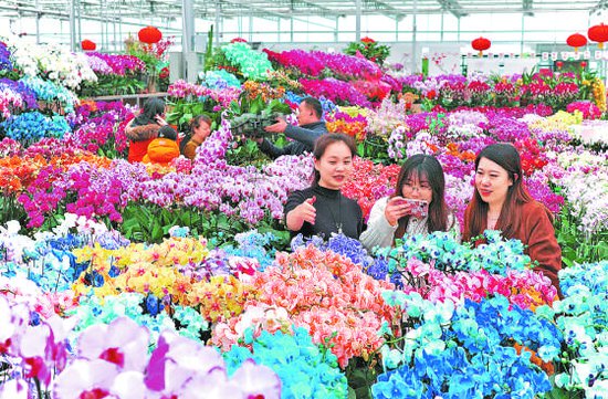 七大花卉市场集中“上新”