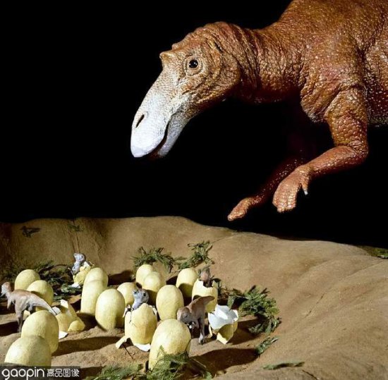 《侏罗纪世界3》将上映！这些<em>恐龙</em>你还叫得出<em>名字</em>吗？