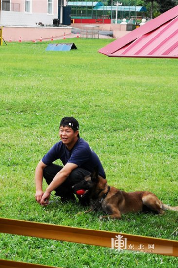 黑龙江“汪星人”厉害啦 全国警犬技术比赛上获搜捕单项第一