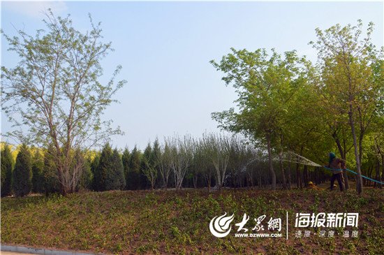 淄博高新区两大高速公路出入口绿化工程竣工