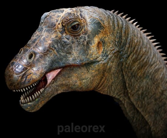50张活久未见<em>的恐龙</em>照片，史前动物的实际样子，你见过几个？