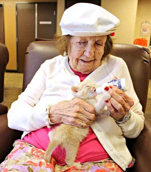 美疗养院收容可爱小猫助痴呆病人恢复记忆