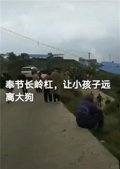 重庆8岁男童上学途中被狗咬死，村民：狗主人<em>养</em>了三只狗防贼